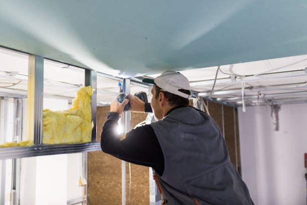 Best Eco-Friendly Insulation in Kaloko, HI